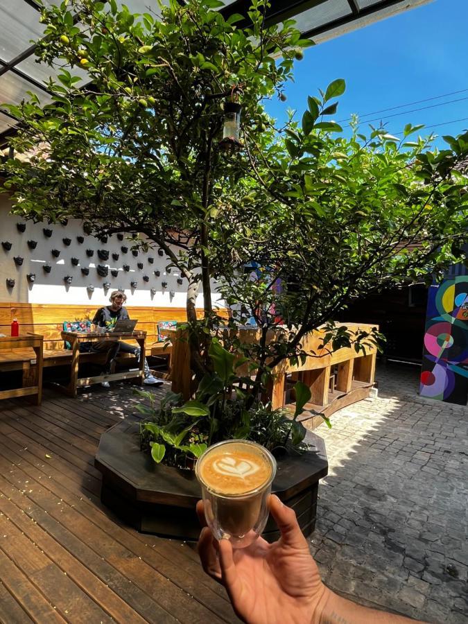 The Coffee Bean Hostel San Cristóbal de Las Casas Extérieur photo