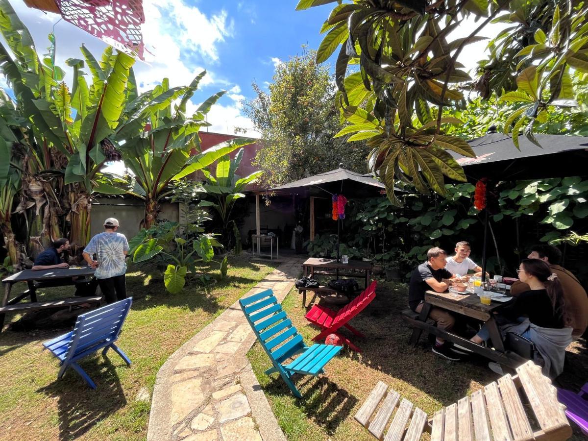 The Coffee Bean Hostel San Cristóbal de Las Casas Extérieur photo